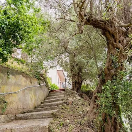 Casa Balsima Gioiosa Marea