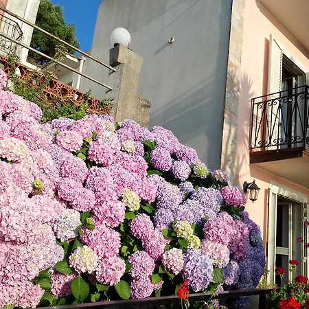 Casa Con Terrazza Panoramica Διαμέρισμα *