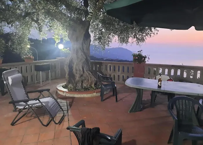 Casa Balsima * 焦约萨马雷阿