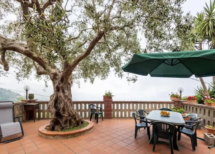 公寓 Casa Balsima 焦约萨马雷阿