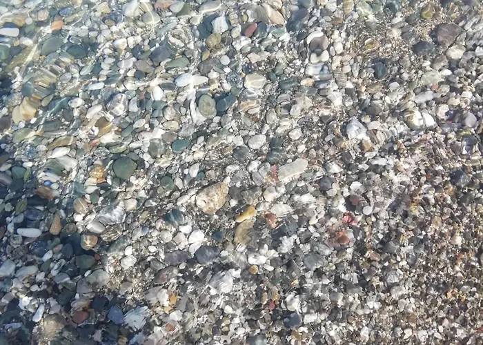 公寓 Casa Balsima 焦约萨马雷阿